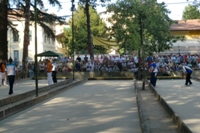 Clicca sulla foto per vedere ingrandimento